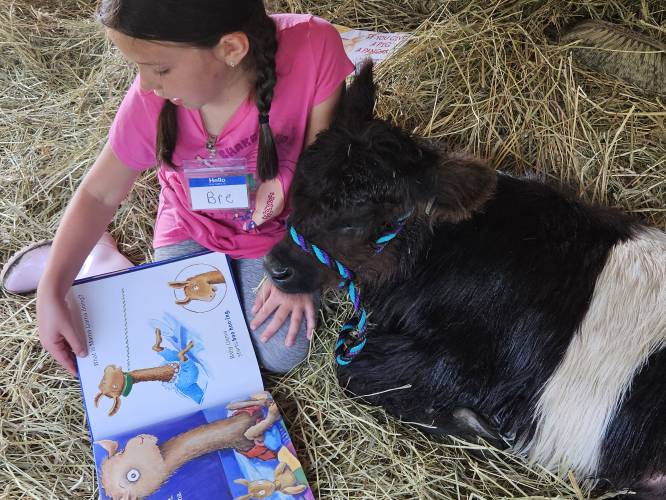 At the 2023 Summer Farm Day Camp at Miles Smith Farm, Bree read to a Belted Galloway calf named Claudette. There is still time to sign up your child between 8 and 14 for the 2024 Summer Camp held on July 8-12 and July 22-26. Details are at: learningnetworksfoundation.com/summer-camp.