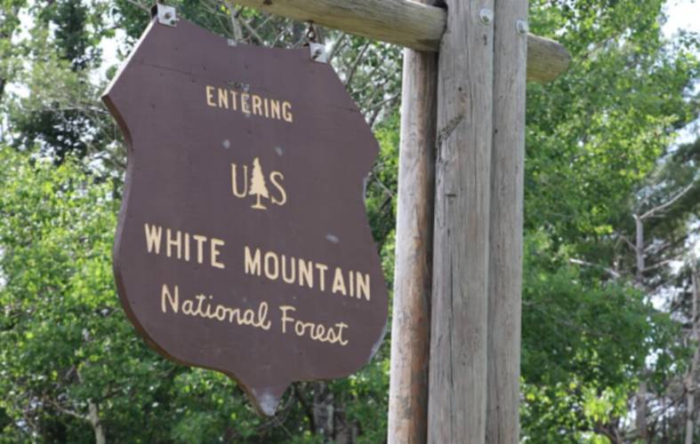 A White Mountain National Forest sign in Easton, NH. A White Mountain National Forest sign in Easton, NH.