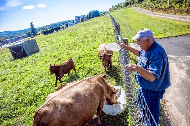 John Silver feeds the cows on the grounds of the Merrimack County Farm. Silver grew up on a large dairy farm and now he runs the farm as the grounds maintenance supervisor, taking care of the 600-acre property upon which sits the Merrimack County Nursing Home and the Department of Corrections in Boscawen. He oversees a crew of maintenance staff and a rotating handful of inmates from the county jail.