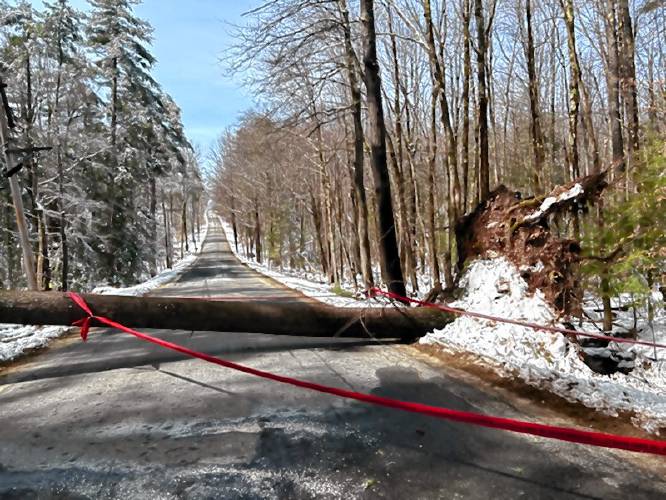 A tree lays across Roillins Road in Hopkinton, blocking through traffic