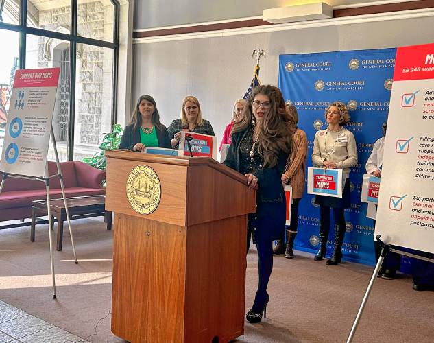 Sen. Denise Ricciardi, a Republican from Bedford, introduced on Wednesday the second installment of her 2023 Sen. Denise Ricciardi, a Republican from Bedford, introduced on Wednesday the second installment of her 2023