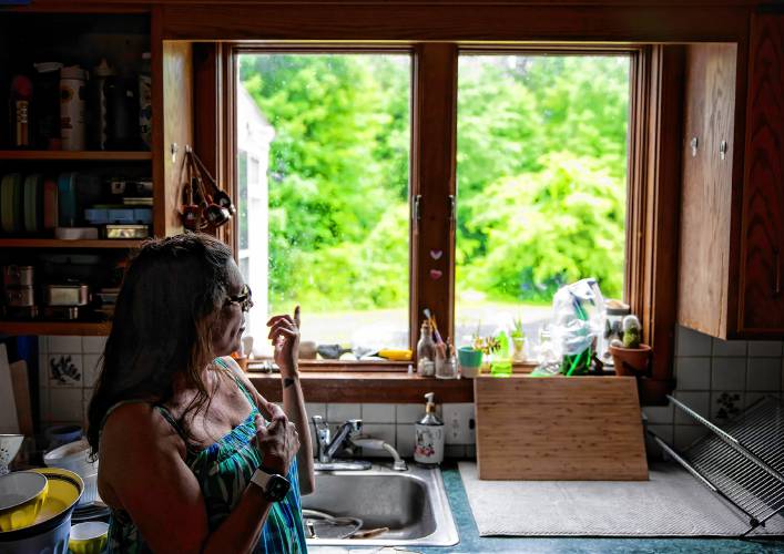 Robin Bach looks out her kitchen window at the woods in her backyard where two homeless camps are located.
