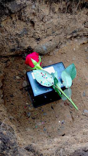 When a “Service of Farewell” is performed for a Concord resident, often few people attend. But Jill Huckins, the administrator at Blossom Hill Cemetery, sprinkles stars over the ashes and places a rose not atop but inside the grave, “Because this is for them, not for everybody else.”