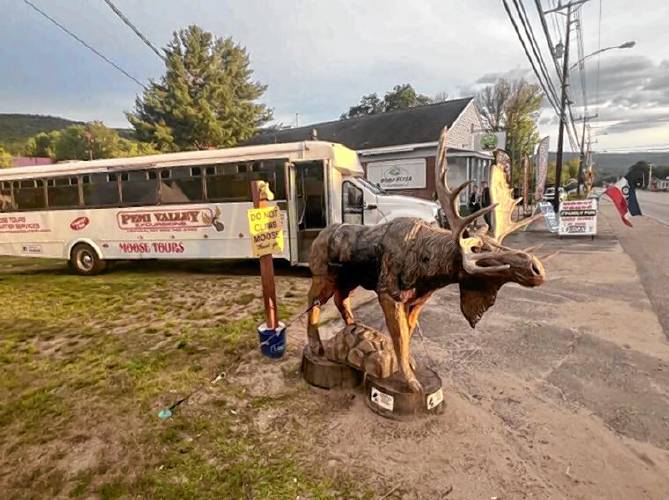 The Pemi Valley Moose Tours offer visitors a chance to see moose in the wild. The Pemi Valley Moose Tours offer visitors a chance to see moose in the wild.