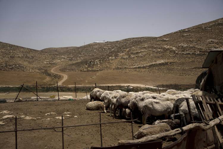 An Israeli settlement tops a hill overlooking sheep in their pen in a hamlet in the South Hebron Hills, West Bank, Friday, May 17. An Israeli settlement tops a hill overlooking sheep in their pen in a hamlet in the South Hebron Hills, West Bank, Friday, May 17.