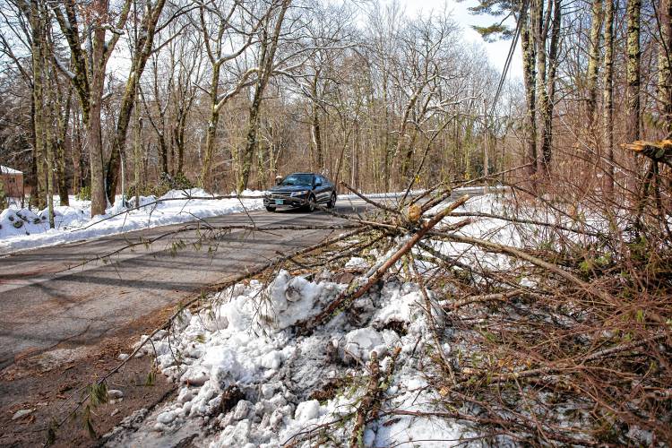 The tree branches that knocked down the wires onto Brenda Payneâs driveway on Monday, March 25, 2024. Payne has been stuck in her home with her grandson since Saturday. She has a generator but has not been able to go into work and has called Eversource five times.