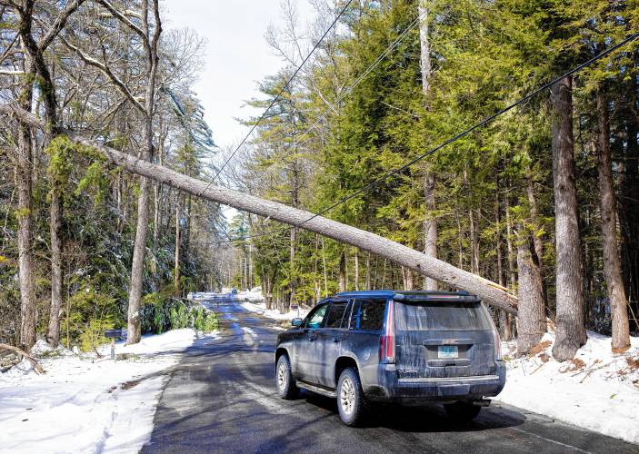 An SUV drives under a tree that is down on lines on Dustin Road in Hopkinton on Monday, March 25, 2024. In Hopkinton, where most people get power from Eversource, about 2,000 homes and businesses were still without power by noon on Monday.