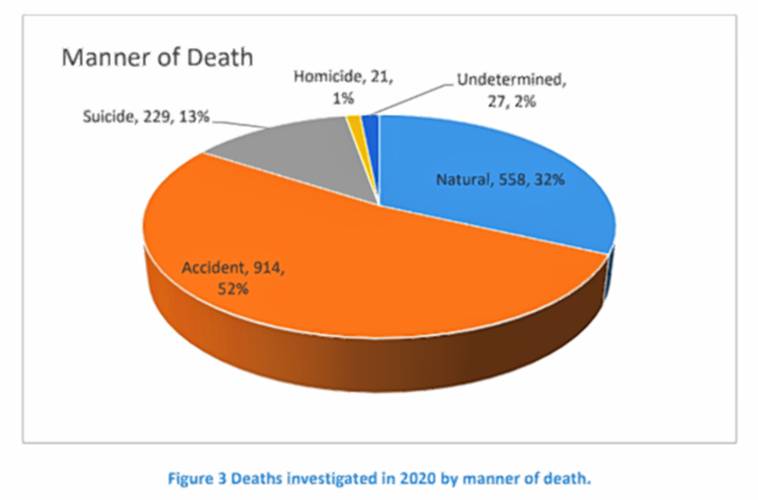 This chart shows the breakdown of types of deaths investigated by the Office of the Chief Medical Examiner in 2020. (Screenshot)