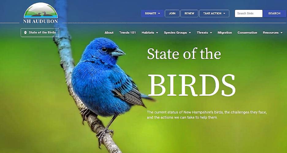 home page of State of the Birds website, 2024