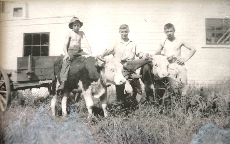 An undated photo form the 20th century of the Morrill Farm in Concord.