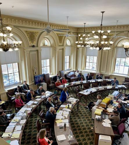 New Hampshire's Senate debates a bill on April 5 that would require school boards to set procedures for handling complaints about books in schools. 