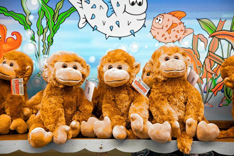 Some of the dolls that kids can get with the tickets they win when playing games.