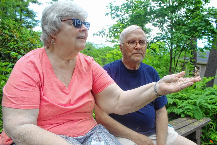 A painted lady butterfly lands on the finger of Dale Bull of Rindge as she and her husband, Chip Bull, release it in honor of those they’ve lost.