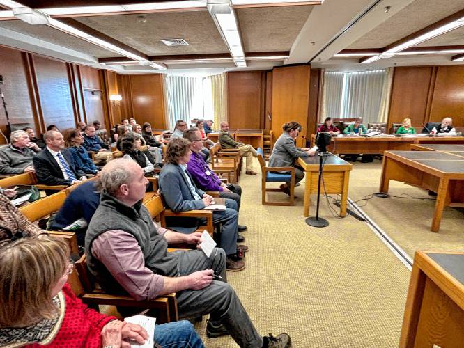 Mary Kelley, superintendent of Bow and Dunbarton school district testifies at the legislature on Monday against an effort to remove her from office