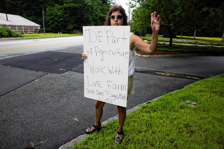 Mary Aranosian stands out in front of One Granite Place where the Department of Agriculture resides with her solo protest of how Live and Let Live Farm is being treated.