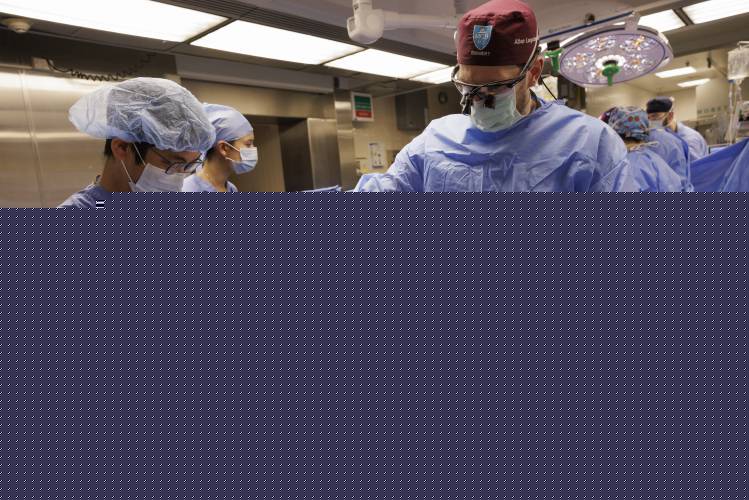 Surgeons from Massachusetts General Hospital in Boston on Jan. 25, 2025, successfully transplanted a genetically-edited pig kidney into 66-year-old Tim Andrews of Concord, N.H. (Kate Flock/Massachusetts General Hospital via AP)