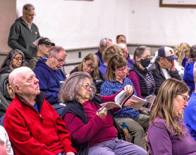 Salisbury resident Gail Henry looks over the town warrants at town meeting on Tuesday, March 11, 2025.