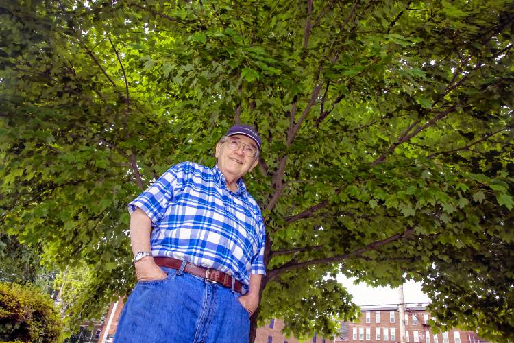 Jim Milliken stands near one of two trees he helped plant on Storrs Street near the Bank of America office in downtown Concord on Thursday. Through his Arbor Day projects, Milliken has been responsible for planting trees all over the city.
