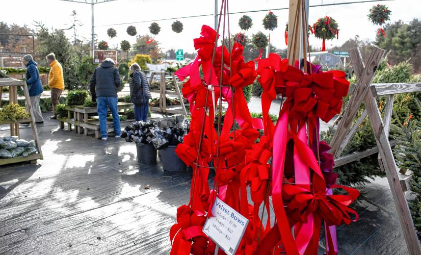A collection of Christmas bows at Cole Gardens in Concord.