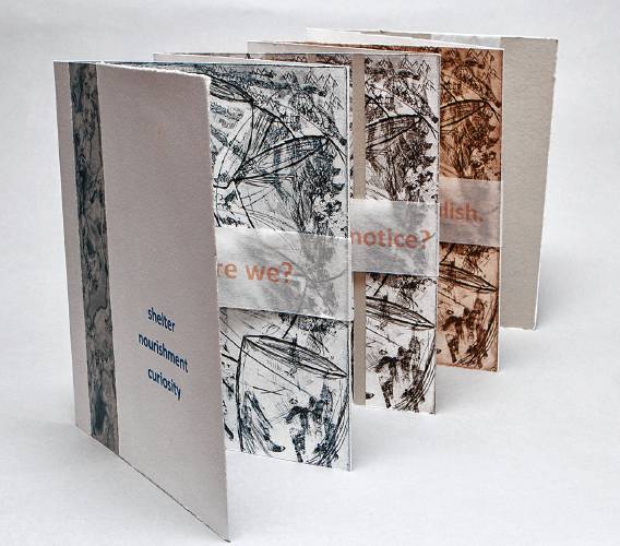 “Shelter-Nourishment-Curiosity” by Renate Klein explores the disruption caused by having to leave one’s home.