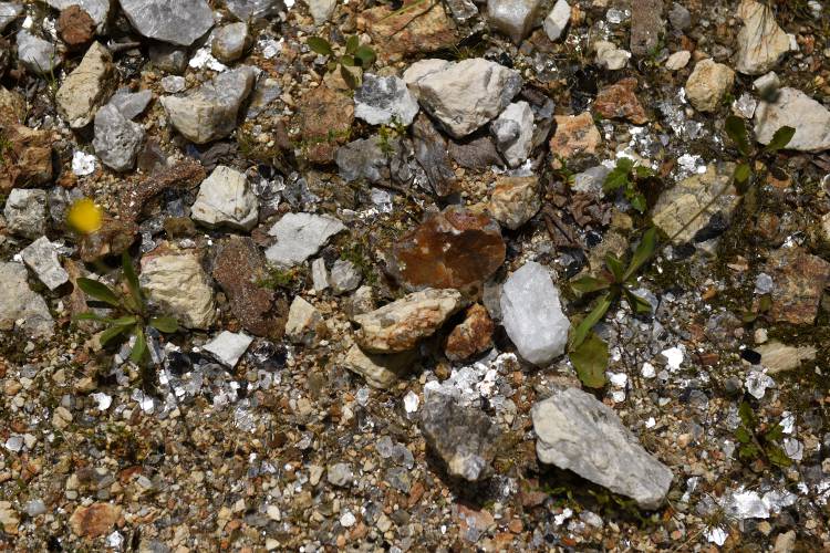 Minerals litter the ground at tourist attraction Ruggles Mine in Grafton, N.H.