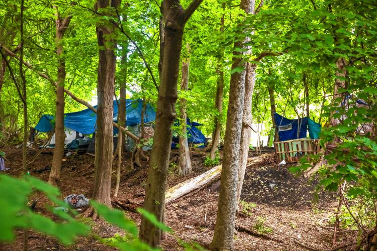 The homeless encampment behind Robin Bachâs home on North Main Street has gotten bigger with a large tarp on Wednesday, July 17, 2024.