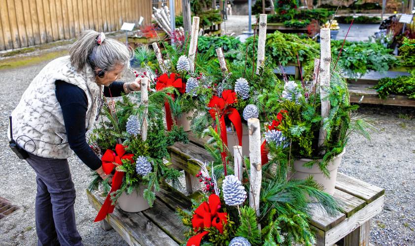 Jane Iarussi, vice president of Cole Gardens in Concord, puts out the custom made Christmas Birch and Bows basket at the store on Tuesday, November 28, 2023. Iarussi says sheâs grateful there is an extra week between Thanksgiving and Christmas this year.