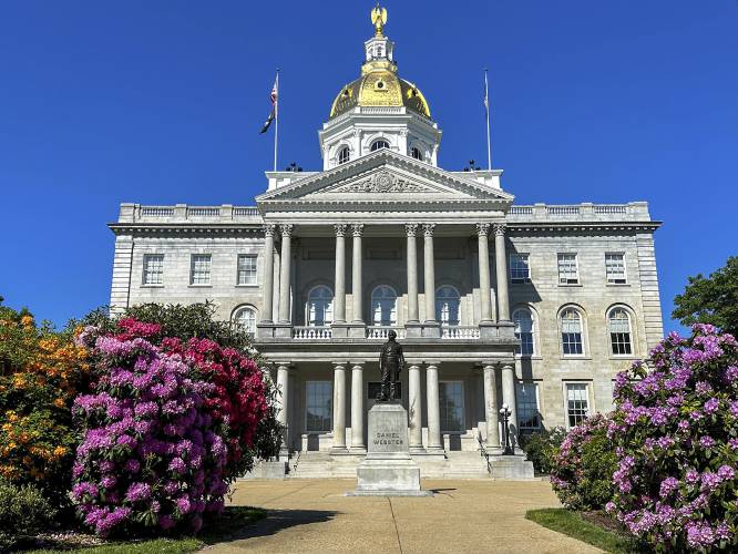 Rhododendrons bloom outside the New Hampshire Statehouse on Saturday, June 1, 2024. Rhododendrons bloom outside the New Hampshire Statehouse on Saturday, June 1, 2024.