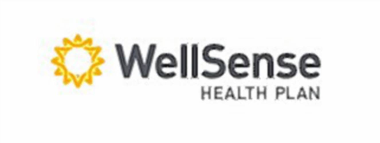 WellSense Health Plan logo 2024 WellSense Health Plan logo 2024