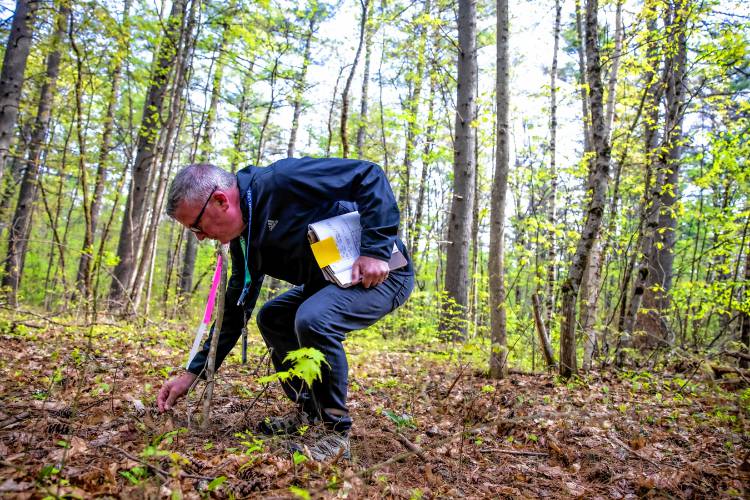 Director of Facilities & Planning  for the Concord School District Matt Cashman inspects one of the boring holes that were dug on the new middle school site near the Broken Ground School on Tuesday.