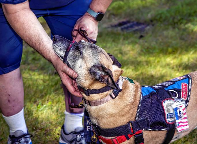 Veteran Vince Ylitalo and his service dog, Tippy, share a strong bond with the help of Operation Delta Dog.
