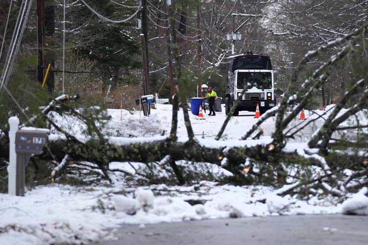A sanitation worker collects trash at the last customer before a downed tree blocking the road, Friday, April 5, 2024, in Derry, N.H.