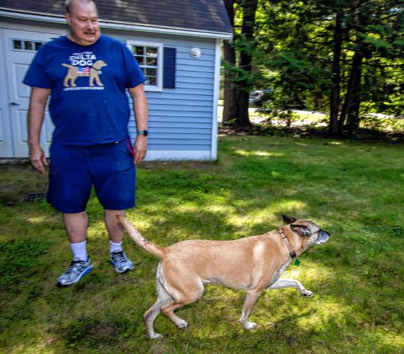 Veteran Vince Yitalo and his service dog, Tippy, share a strong bond with the help of Operation Delta Dog. Tippy prances around Yitaloâs backyard in Concord.