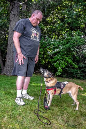 Veteran Vince Yitalo and his service dog, Tippy, share a strong bond with the help of Operation Delta Dog.