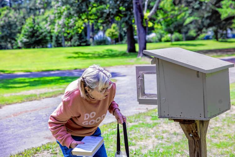 Mary McEvoy-Barrett looks into the Little Free Library at Rollins Park as she gets ready to put in books.