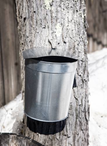 An old style sap bucket outside Sunnyside Maples in Loudon.