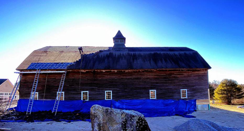 A roofer from Millstone Construction removes old shingles from the Houston Barn at the Hopkinton Library site in Contoocook on Tuesday, January 2, 2024. The worker was attached to two different harnesses as he was removing the roof materials.