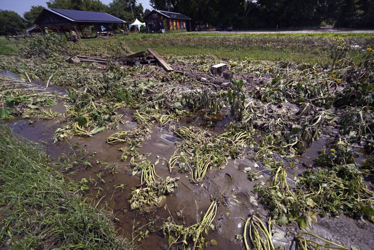 FILE - Flood waters remain on the destroyed fields at the Intervale Community Farm, July 17, 2023, in Burlington, Vt. Legislation introduced in December 2023 by Vermont U.S. Sens. Peter Welch and Bernie Sanders, and senators from Massachusetts, aims to create an insurance program better suited to small produce farms facing losses from the more frequent extreme weather. (AP Photo/Charles Krupa, File)