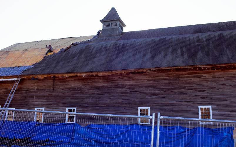 A roofer from Millstone Construction removes old shingles from the Houston Barn at the Hopkinton Library site in Contoocook on Tuesday, January 2, 2024. The worker was attached to two different harnesses as he was removing the roof materials.