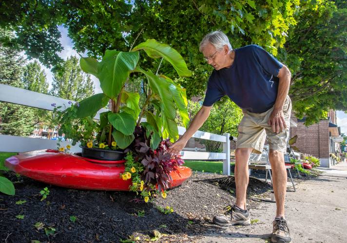 Glenn Morill stands along Central Street in Franklin, where kayaks adorn the street repurposed as flower beds. Morrill leads a team of volunteers behind the kayak flowerbeds each year.