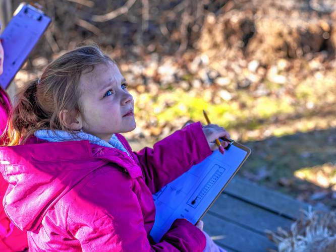 Charlotte Hall looks out at White Farm to monitor the birds around the area and do a count of all the birds she sees at Project SEE on Dec. 14. At White Farm in Concord, education goes beyond the confines of traditional classrooms.