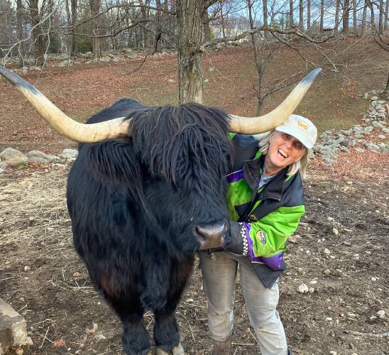 Did you know that both male and female Scottish Highland cattle have horns? Their horns might look scary, but are they? Carole poses with Topper, one of the oxen at Miles Smith Farm.