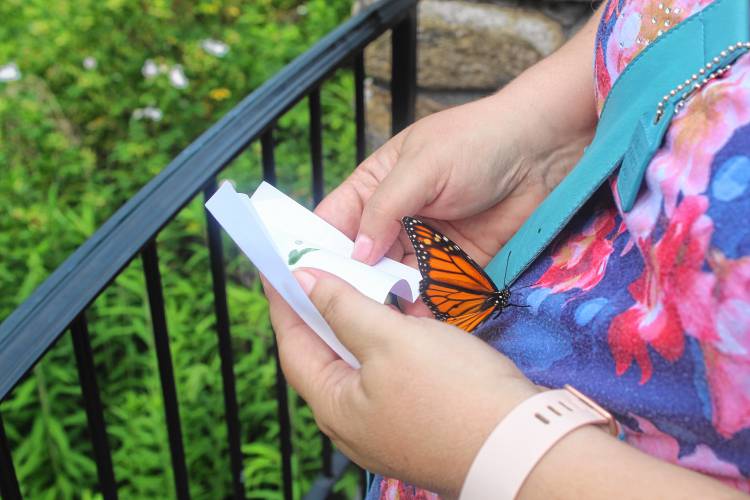 A Monarch butterfly lands on the shirt of Kimberly Ferguson shortly after being released.