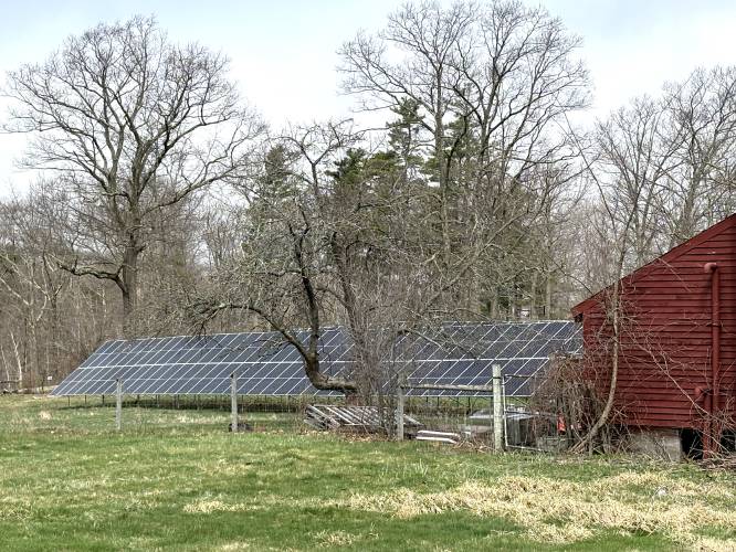 The solar array in the field next to the Blasty Bough Brewing Company in Epsom.