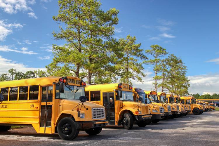 School bus, pixabay