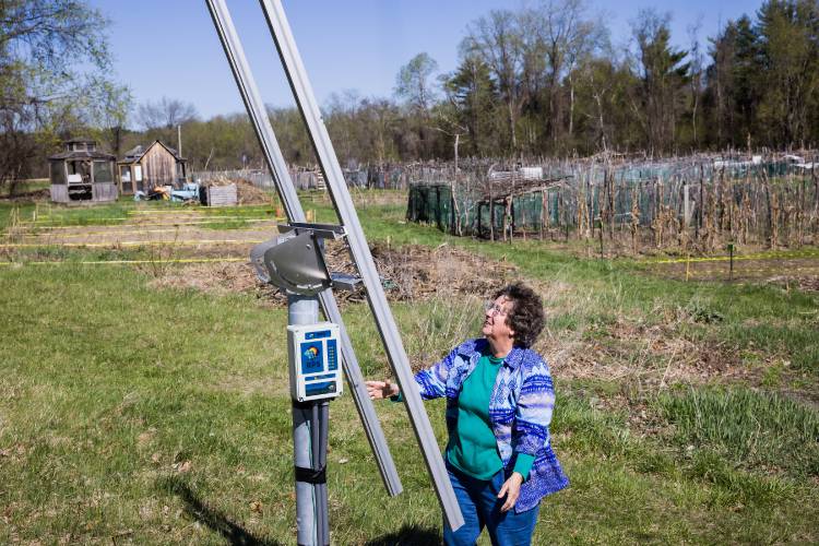 Board member Julia Freeman-Wolpert looks up at where the solar panels were stolen at the community gardens Wednesday. Besides the panels, someone broke into a shed and took items.