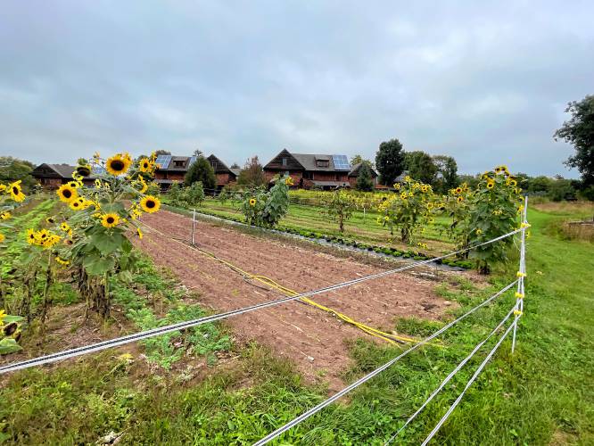 A view of the Nubanusit Neighborhood from the farm. 