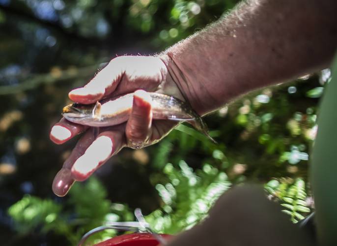 Eric Orff, certified wildlife biologist, holds a trout after it was shocked in July 2022. More book reviews on Page C4.
