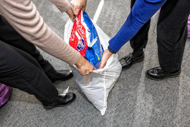 A 20-pound bag of cat litter was used for weight purposes.