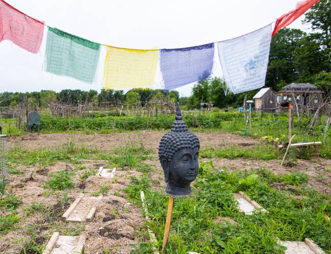 A Buddha sits on a stake in a garden plot at the Sycamore Community Gardens at NHTI in Concord earlier this week.